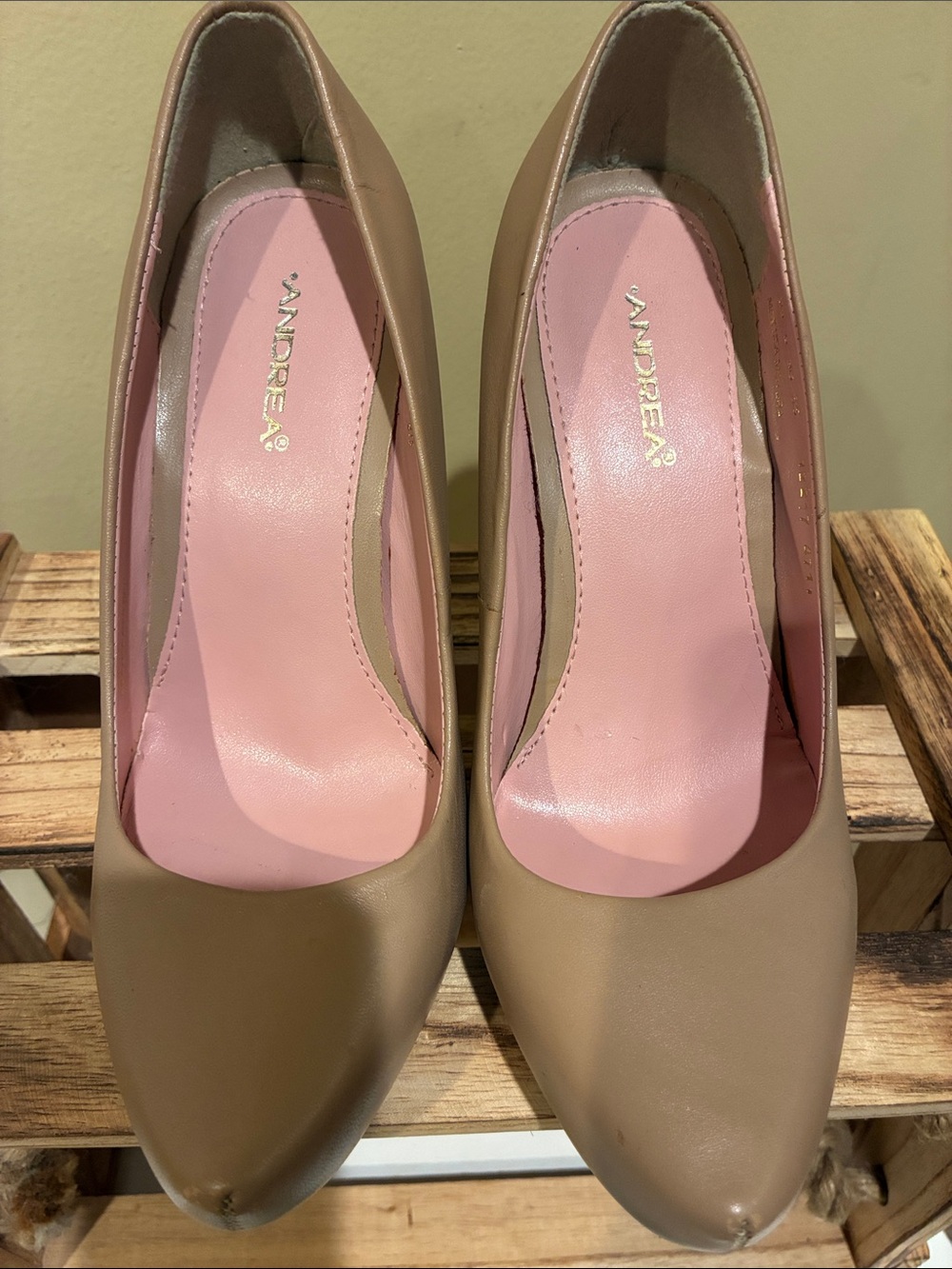 ANDREA FENZI Taupe Pumps with Pink Insole